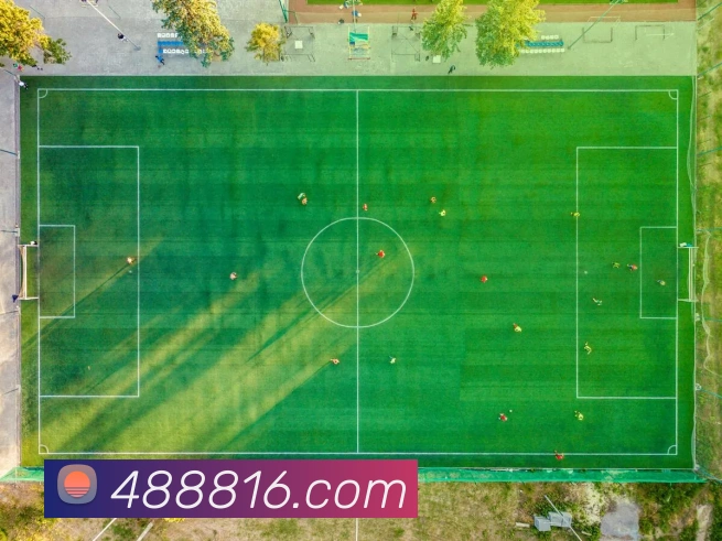 v8体育入口平台生态图